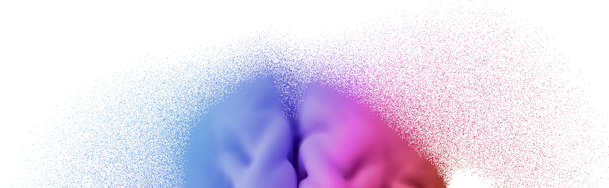 brain